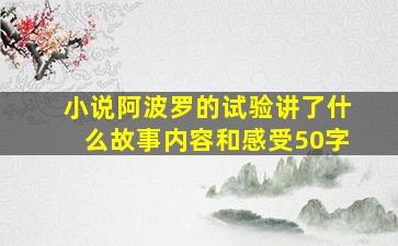 小说阿波罗的试验讲了什么故事内容和感受50字