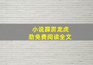 小说霹雳龙虎劲免费阅读全文