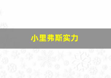 小里弗斯实力