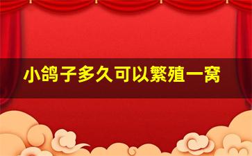 小鸽子多久可以繁殖一窝