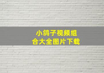 小鸽子视频组合大全图片下载