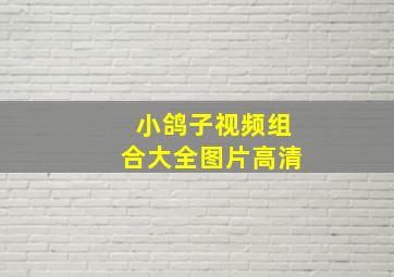 小鸽子视频组合大全图片高清