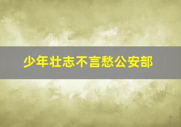 少年壮志不言愁公安部