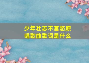 少年壮志不言愁原唱歌曲歌词是什么