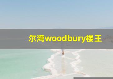 尔湾woodbury楼王