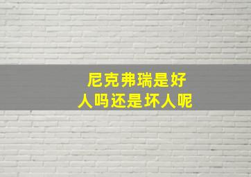 尼克弗瑞是好人吗还是坏人呢