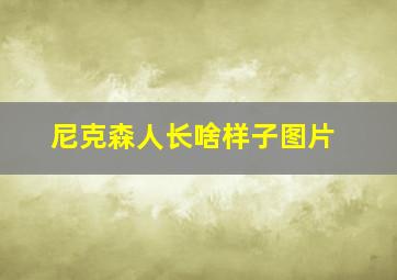 尼克森人长啥样子图片