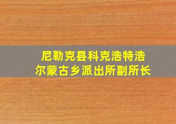 尼勒克县科克浩特浩尔蒙古乡派出所副所长