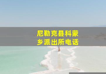 尼勒克县科蒙乡派出所电话