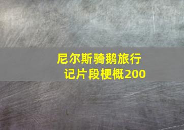 尼尔斯骑鹅旅行记片段梗概200