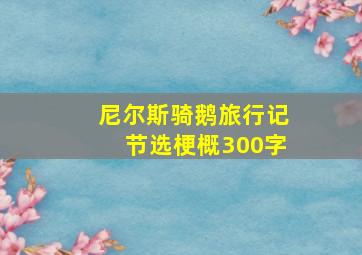 尼尔斯骑鹅旅行记节选梗概300字