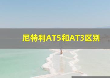 尼特利AT5和AT3区别