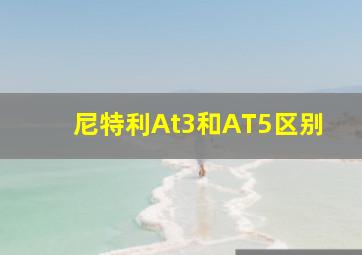 尼特利At3和AT5区别