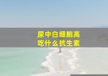 尿中白细胞高吃什么抗生素