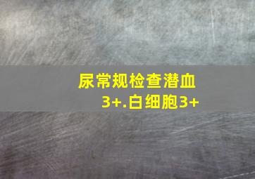 尿常规检查潜血3+.白细胞3+