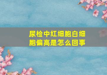 尿检中红细胞白细胞偏高是怎么回事