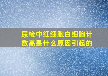 尿检中红细胞白细胞计数高是什么原因引起的