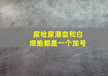 尿检尿潜血和白细胞都是一个加号