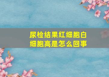 尿检结果红细胞白细胞高是怎么回事