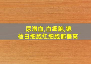 尿潜血,白细胞,镜检白细胞红细胞都偏高