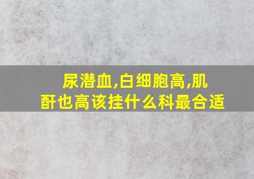 尿潜血,白细胞高,肌酐也高该挂什么科最合适