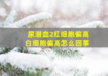 尿潜血2红细胞偏高白细胞偏高怎么回事