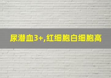 尿潜血3+,红细胞白细胞高