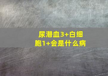 尿潜血3+白细胞1+会是什么病