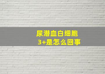 尿潜血白细胞3+是怎么回事