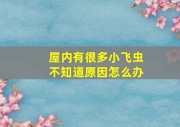 屋内有很多小飞虫不知道原因怎么办