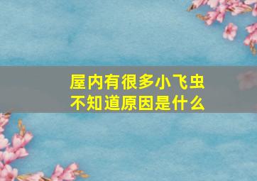 屋内有很多小飞虫不知道原因是什么