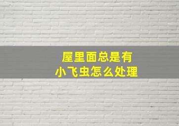 屋里面总是有小飞虫怎么处理