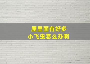 屋里面有好多小飞虫怎么办啊