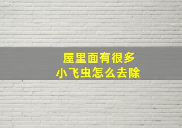 屋里面有很多小飞虫怎么去除