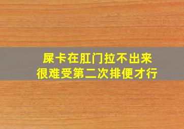 屎卡在肛门拉不出来很难受第二次排便才行