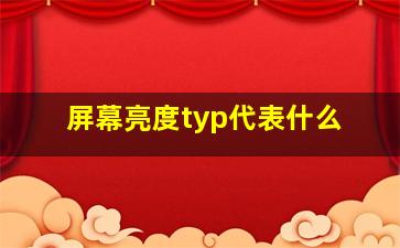 屏幕亮度typ代表什么