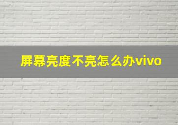 屏幕亮度不亮怎么办vivo