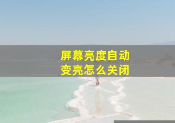 屏幕亮度自动变亮怎么关闭