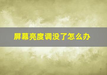 屏幕亮度调没了怎么办