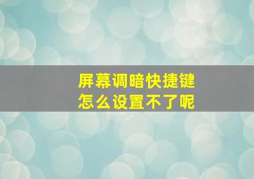 屏幕调暗快捷键怎么设置不了呢