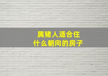 属猪人适合住什么朝向的房子