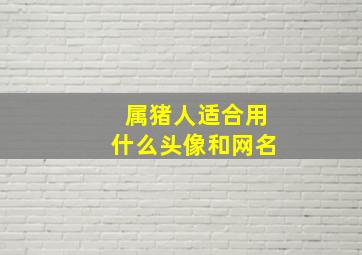 属猪人适合用什么头像和网名