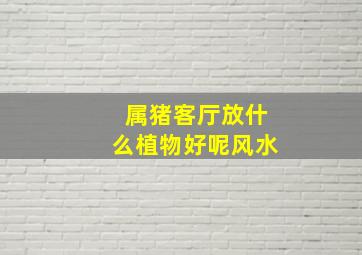 属猪客厅放什么植物好呢风水