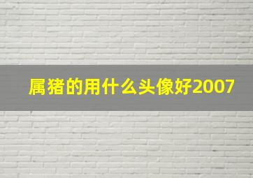 属猪的用什么头像好2007