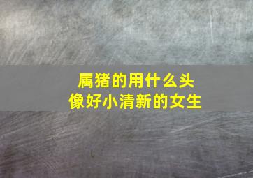 属猪的用什么头像好小清新的女生