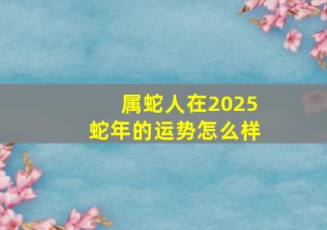 属蛇人在2025蛇年的运势怎么样