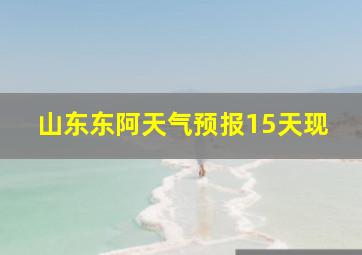 山东东阿天气预报15天现