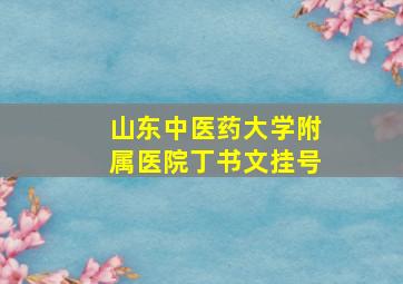 山东中医药大学附属医院丁书文挂号