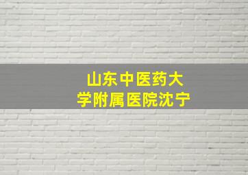 山东中医药大学附属医院沈宁