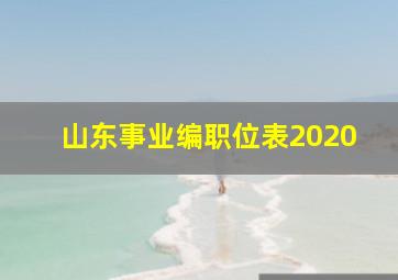 山东事业编职位表2020